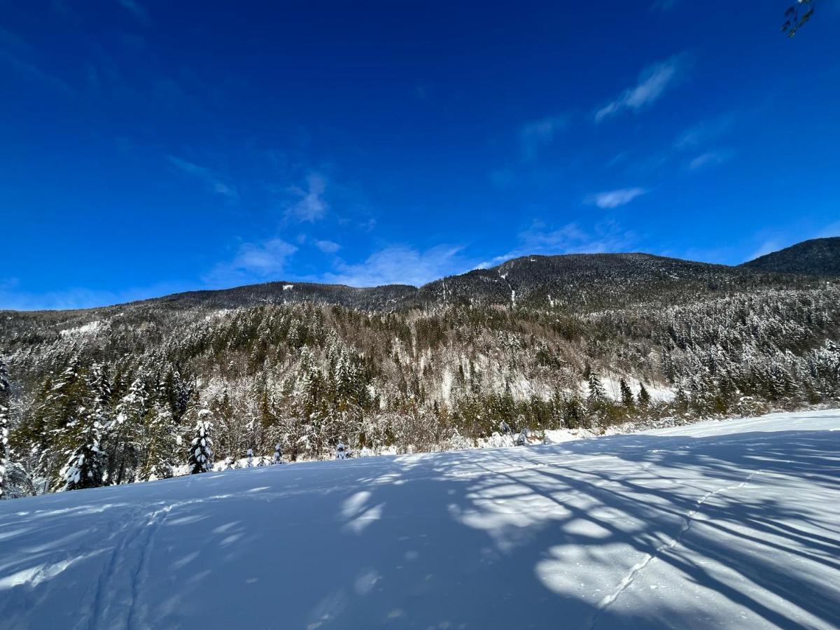 Apartma Anastasija Kranjska Gora Luaran gambar